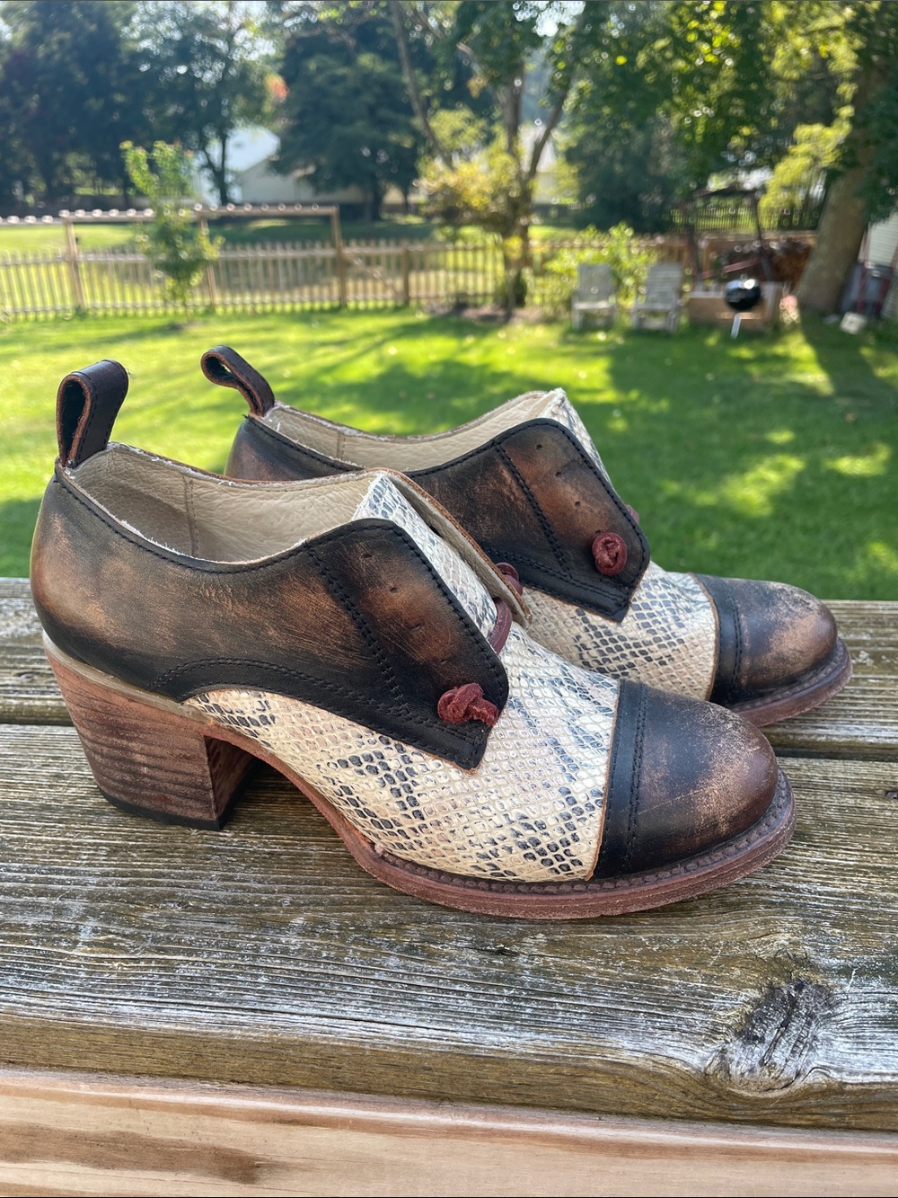 Freebird by Steven Sz 8 Catalina Brown & Cream Snake-Print Leather Heeled Oxford - Picture 4 of 15